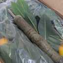 5ft Tall Artificial Lemon Tree with Fake Lemons Floor Plants Artificial for Decor Realistic to Indoor Home Office Fauxe Lemon Tree, Yellow