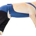 Coodeo Dog Recovery Suit Prevent Licking, Biting (M, Blue)