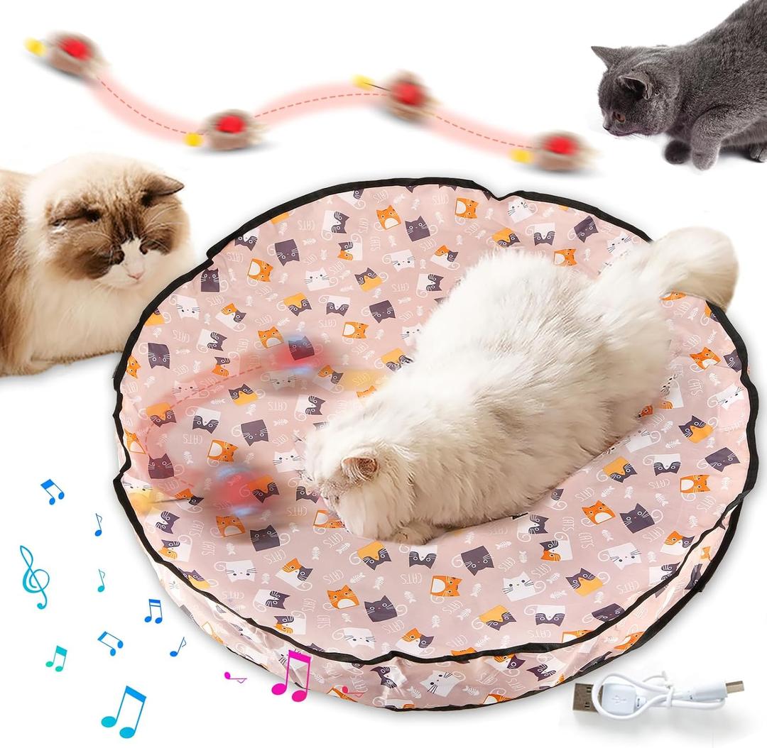 Interactive Cat Toys with Fast Rolling Cat Ball in Pouch, Rechargeable Smart Motion Hunting Toy, Activated Moving Ball Hide and Seek Exercise Game for Indoor Bored Cats Stress Relief