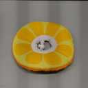 Kitten Cones After Surgery 0-6 Months, Donut Extra Small Kitten Cone Collar Soft to Stop Licking Neck, Elizabethan Kittens e Collar for Recovery, xs Small Cat Cone Spray, Pet Soft Cone for Cats