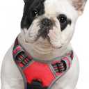 Eagloo Dog Harness Medium Sized Dog, No Pull Service Vest with Reflective Strips and Control Handle, Adjustable and Comfortable for Easy Walking, No Choke Pet Harness with 2 Metal Rings, Red, M