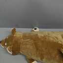 30'' Shiba Inu Plush Stuffed Animal, Giant Stuffed Animals for Anxiety, Big Shiba Inu Corgi Plush, Dog Plush Pillow Hugging Pillow Sleeping Dog Cushion Soft Plush Toy Big Stuffed Animals Kawaii Decor