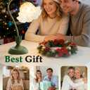 Flower Table Lamp Bedside Lamps LED Reading Light,3 Color Modes Cute Small Lamp,Vintage Flower Lamp Nightstand Lamp Kawaii Table Lamp for Bedroom Living Room Office Dorm Desk Home Decor(Green lamp)