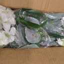 Artificial Flowers for Outdoors 6 Bundles of UV-Resistant Artificial Geraniums, Realistic Silk Flowers for Front Porch, Patio, Garden, Window Boxes & Hanging Baskets (White, 6)