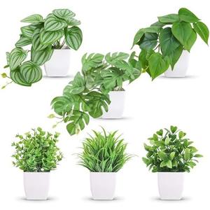 Amazon.com: Der Rose 6 Pack Fake Plants Small Artificial Potted Plants Faux Plants for Home Office Desk Bathroom Aesthetic Farmhouse Room Decor Indoor : Home & Kitchen
