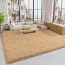 LOCHAS Ultra Soft Indoor Modern Area Rugs 9x12 Fluffy Living Room Carpets for Children Bedroom Home Decor Nursery Rug, Light Tan