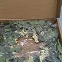 Pinkpum 20'' Eucalyptus Wreath for Front Door, Porch, Window - Green Decor for Home, Farmhouse - Spring, Summer, Fall, All Seasons (White)