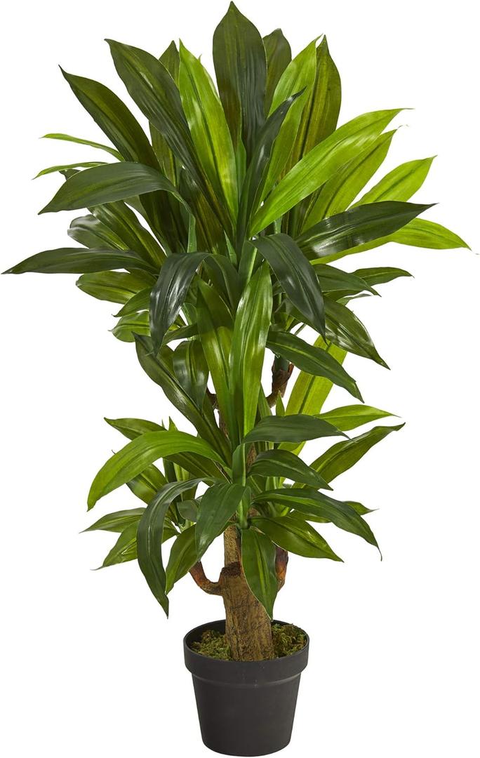 Nearly Natural 3ft. Corn Stalk Dracaena Artificial Plant (Real Touch)