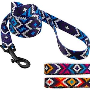 CollarDirect Aztec Dog Leash Nylon Tribal Pattern Cat Pet Leashes for Small Medium Large Dogs Puppy Lead 5 FT Long for Walking