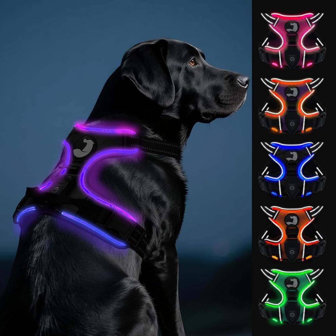 Joytale Light Up Dog Harness, No Pull Dog Harness USB Rechargeable for Night Walking with 3 Lightning Modes and Soft Handle, Adjustable Reflective Lighted Safety Vest,Black-Purple, L