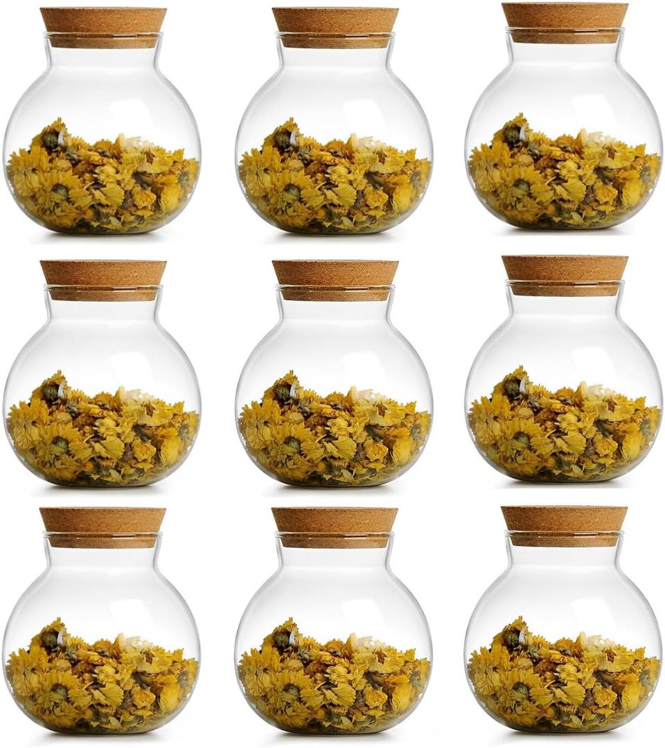 Spherical Glass Jar With Cork Lid Airtight - 17oz Candy Jar Kitchen Glass Jar - for Preserving and Storing Coffee, Spice, Beans, Sugar etc (9)