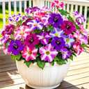 6 Bundles Artificial Petunias for Outdoors, UV Resistant Faux Silk Fake Flowers, Realistic Faux Plants for Spring Summer Decor, Garden, Planter, Front Door, Porch, Patio, Yard, Balcony, Home