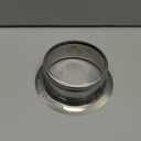 INSINKERATOR Kitchen Sink Flange for INSINKERATOR Garbage Disposal, FLG-SS, Stainless Steel (One Size)