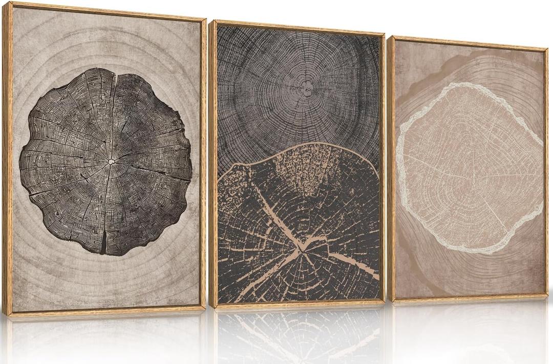 HOURIA Beige Tree Ring Framed Canvas Wall Art Set, Neutral Modern Wood Stump Wall Decor,Vintage Abstract Tree Spiral Art Print,Nature Black and White Artwork for Living Room,Bedroom,Office- 16"x24"x3 (16''x24''x3, Tree Rings Wall Art)
