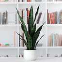 Beebel Artificial Snake Plant 22 Inch Fake Sansevieria Fake Agave Potted Plants Plastic Greenery for Home Garden Office Store Decoration 12 Leaves (Green)
