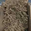 Shop Succulents Assorted Succulent Plant Pack Collection - Live Mini Succulent Plants, Low Maintenance, Mixture of Colors & Textures - Wedding and Party Favors, Gift & Garden, Pack of 20