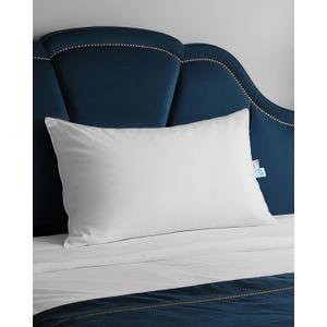 Goose Down Pillow for Sleeping, Hotel Quality 750 Fill Power Queen Size Pillow with Pillowcase - Bed Pillow for Master Bedroom, Support for Back, Side, Stomach Sleepers, 1 Pack, 20x30 Inch