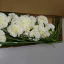 15PCS White Carnations Artificial Flowers 20.47" Long Stems Silk Carnation Fake Flowers Bulk for Wedding Table Centerpieces Bridal Shower Home Party Garden Decor(White)