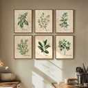 Framed Sage Green Botanical Wall Art for Kitchen, Set of 6 Rustic Herb Canvas Prints Artwork for Modern Farmhouse Walls, Herbs Spices Plant Leaf Pictures for Dining Room Living Room, Bedroom Wall Decor