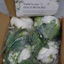 MARTINE MALL 4 Packs Peonies Artificial Flowers, White Artificial Peonies, Silk Peonies Flowers Fake Peonies Artificial Flowers Peonies Bouquet for Centerpiece Table Wedding Party Home Decor