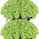Hananona Artificial Roses in Bulk, Fake Silk Roses Realistic Green Roses for Wedding Centerpieces Flower Arrangement St Patricks Day Home Decor (50, Light Green)