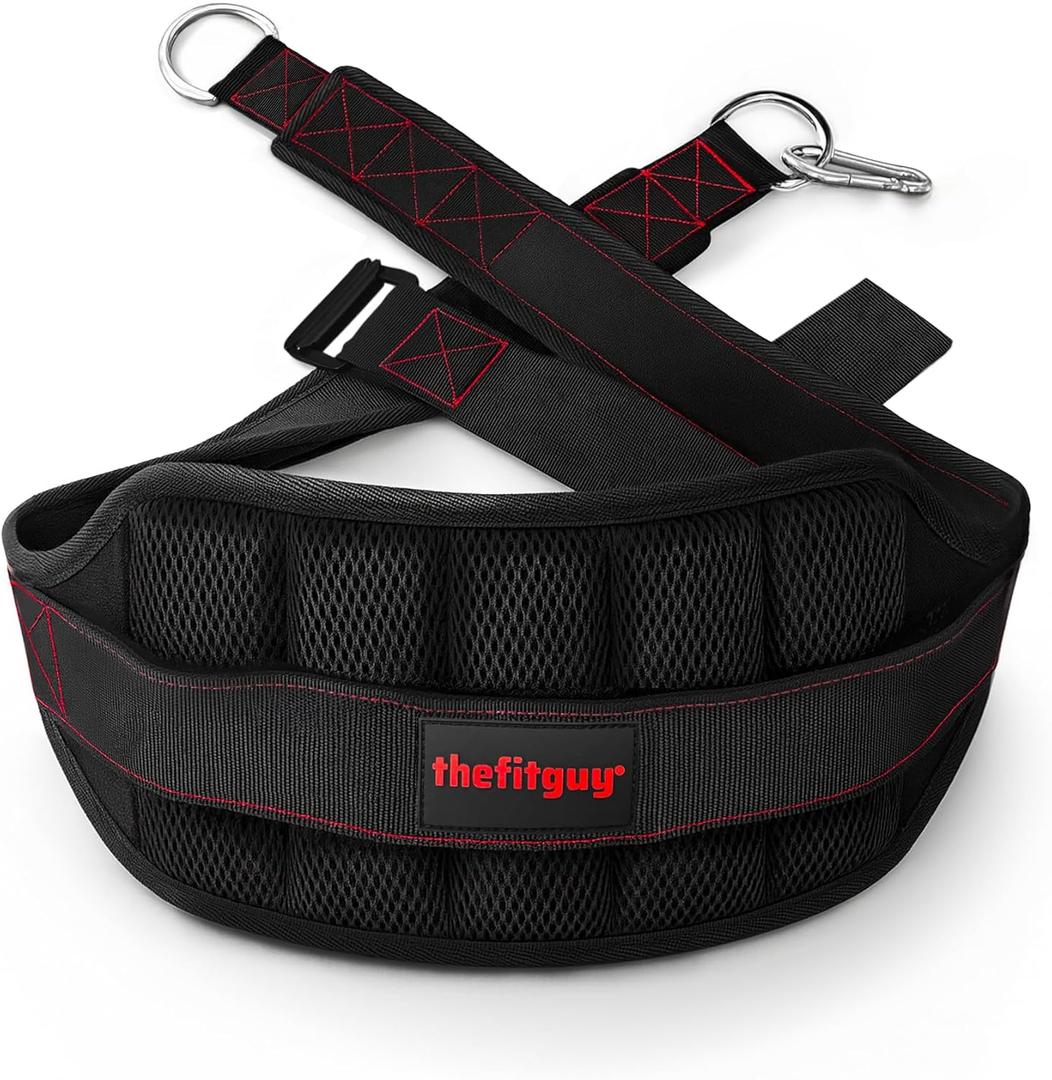 THEFITGUY Ultimate Belt for Belt Squats, Rack Attachment and Squat Machine, Structured Back Support, Stays Low During Down Movement, Padded Hip & Thigh Area, Buckle Strap - No Sliding Down, Heavy Duty