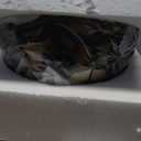 Tiffany Lamp Shade Replacement Only 12X6 Inch Stained Glass Style Lampshade with Cap fit for Table lamp Pendant Light Ceiling Fixture (Red)