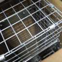 Havahart Easy-Set Catch and Release Small 1-Door Humane Live Animal Trap for Squirrels, Rabbits, Skunks, and Other Small Animals - 1083