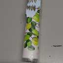 Spring Summer Green Eucalyptus Hanging Vine Wall Decals Bird & Birdcage Wall Stickers for Home Office & Coffee Cafe Peel and Stick Wall Glass Clings Decor