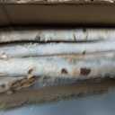 5 Pcs White Birch Poles 4 ft 1-1.5" Diameter Natural Wood Sticks