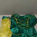 fun shack Green Girls Renaissance Costume, Medieval Princess Outfit for Kids, Historical Dress Up for Girls (Medium)