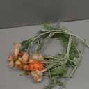 10pcs Orange and Gradient Pink Artificial Flowers for Vase, Fake Peonies Poppies and Daisy Stems Mixed, Silk Ranunculus Flowers Arrangement for Party Farmhouse Office Home Table Decoration