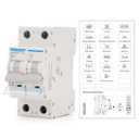 MOLLOM DC 2 Pole Miniature Circuit Breaker, 250V 10Amps, C10 Scene Visualization Custom MCB Thermal Magnetic Trip, 6KA Breaking Capacity DC Disconnect Switch for Solar PV System