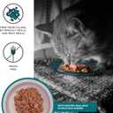 BIXBI Liberty Wet Cat Food Shreds Variety Pack Featuring Chicken/Salmon Recipe & Tuna/Chicken Recipe (2.75 Ounce Cans, Case of 12) (EXP 01/13/29)