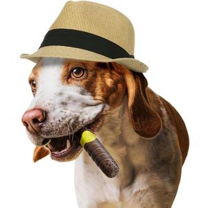 Beef Flavor Joint Dog Chew Toy for Medium/Large Breed Dogs, Indestructible Durable Long Lasting 100% Nylon Dog Chew Toy for Aggressive Chewers - Funny Cigar Dogs Toys to Keep Them Busy
