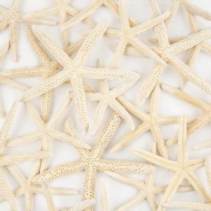 QEQEKAKA 20 PCS Starfish for Crafts 4"- 6" Natural Starfish Decor Bulk | Starfish for Wedding Beach Theme Decor Home DIY Crafts Decor Christmas Tree Starfish Ornaments