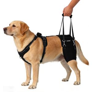 Dog Hip Brace for Hip Dysplasia & Arthritis - Adjustable Support Wrap with Removable Pads, Lifting Handle & Stabilizing Straps for Large Medium Dogs - Relief for Pain, Weakness & Lameness(L)