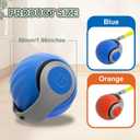 Speedy Cat Tail Toy 2.0,USB Rechargeable Smart Interactive Cat Ball,Automatic Moving Ball Toy for Indoor Cats, Replaceable Tail2PCS