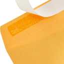Amazon Basics Catalog Mailing Envelopes, Peel and Seal, 9" x 12", Brown Kraft, 100-Pack