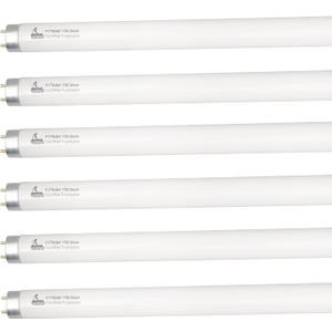 CHKADAWA 24 Inch Fluorescent Light Bulb F17T8/841 17 Watts, 2 Ft T8 17W Cool White 4100K Straight Linear Fluorescent Tube, G13 Medium Bi-Pin Base, 6 Pack