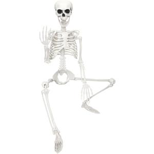 Skeleton Halloween Decor,3Ft Life Size Skeleton Full Body Plastic Human Bones for Halloween Decoration