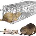 iMounTEK Humane Live Animal Trap Animal Trap 32X12.5X12In Large Humane Cat Trap Catch Release Animal Rodent Cage Collapsible Galvanized Wire for Small Raccoons Beavers Groundhogs Foxes Armadillos (Silver)