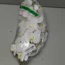 FagusHome 32" Artificial Phalaenopsis Flowers 6 Pcs Artificial Orchid Flowers Stem Plants for Home Dcor (6Pcs) (White)