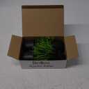 Der Rose Fake Plants 4 Packs Artificial Plants Small Faux Plants Black Bathroom Accessories for Halloween Bathroom Home Kitchen Coffee Table Office Desk Decor Indoor (Green)