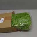 Giegxin Halloween Spanish Moss 41" Succulents Faux Moss Artificial Succulent Plants Fake Vines Hanging Plants Swamp Decoration Potted Artificial Hanging Garland(Grayish Green,12 Pack)