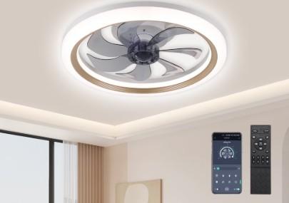 LISUNAR 20" Ceiling Fans with Lights and Remote, Gold-Smart Dimmable low profile ceiling fan with light, Ceiling fans with lights flush mount Stepless Color Temperature Change and 6 Speeds 7 Blades