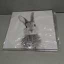 2 x daktenn Bunny Wall Art Lovely Rabbit Posters for Baby Room Easter Artwork Nursery Wall Decor Easter Wall Art Rabbit Pictures Wall Decor Bunny Pictures for Bathroom Bedroom 14x14 Inches