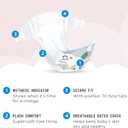 Amazon Brand - Mama Bear Plush Protection Disposable Baby Diapers, Hypoallergenic, Fragrance-Free, Leak Protection, Size 5, 124 Count (4 Packs of 31), White and Cloud Dreams