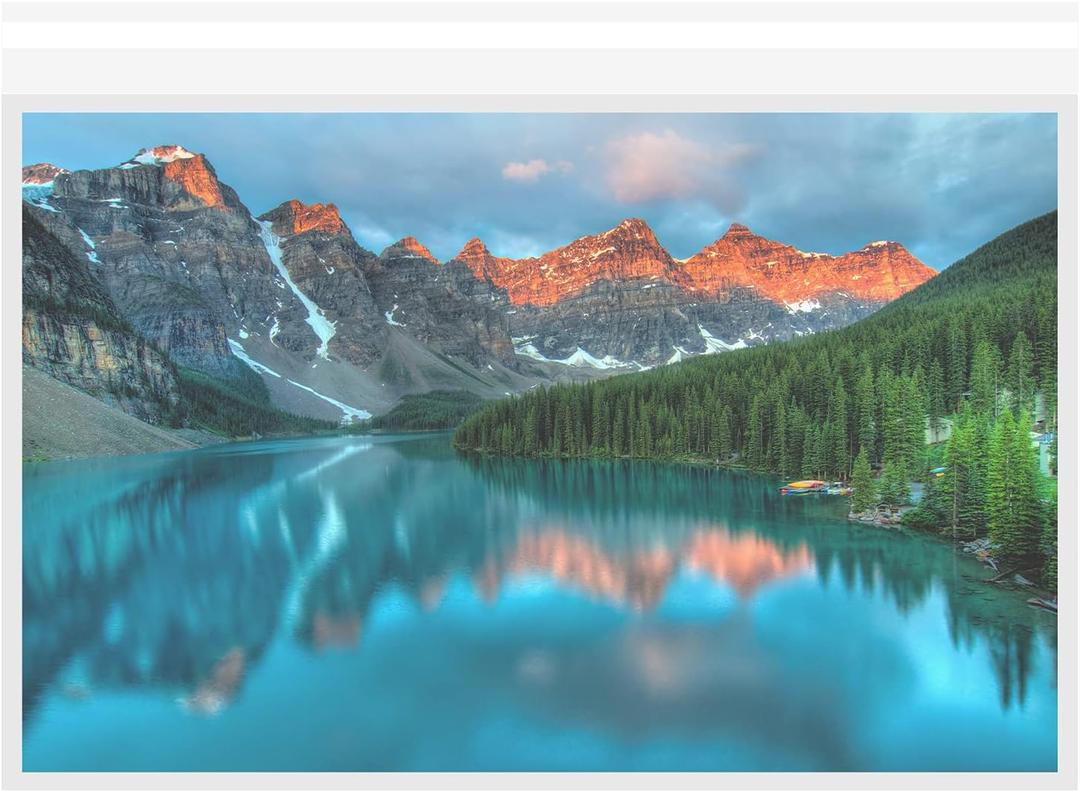Clear Bags for Art Prints & Photos, Acid Free Self Seal Print Sleeves, Poster Sleeves - 50-Pack