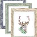 AAQ 8x10 Picture Frame of 3 Set- Picture Frames with HD Plastic Cover,Farmhouse Picture Frames for Table or Wall Hanging (Multicolour)